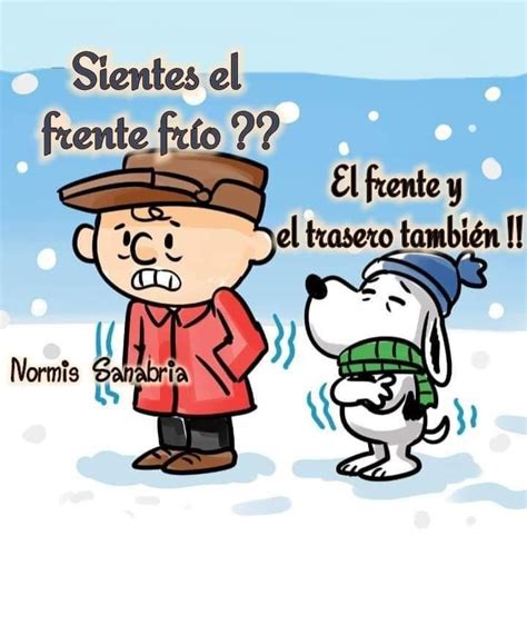 21 ideas de Imagenes chistosas de frio 